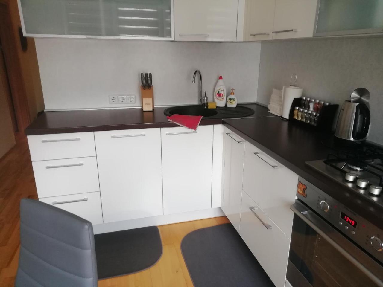 Justinos Apartamentai Panevezyje Panevezys Exterior photo